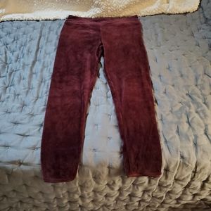 Cuddl Dud Plush Velour Legging